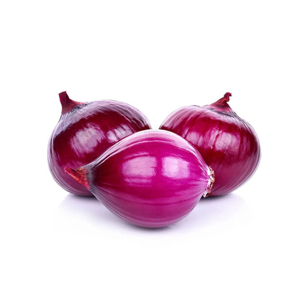 Indian Onion Red