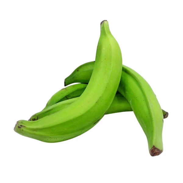 Plantain Green D