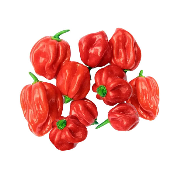 Red Hot Pepper - African