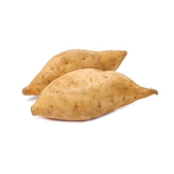 Sweet Potato White Uganda